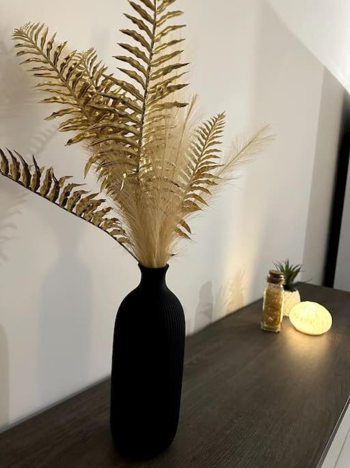 5 Min Des Plages - Appt 2 Chambres A Casa Bella Lucciana  Esterno foto