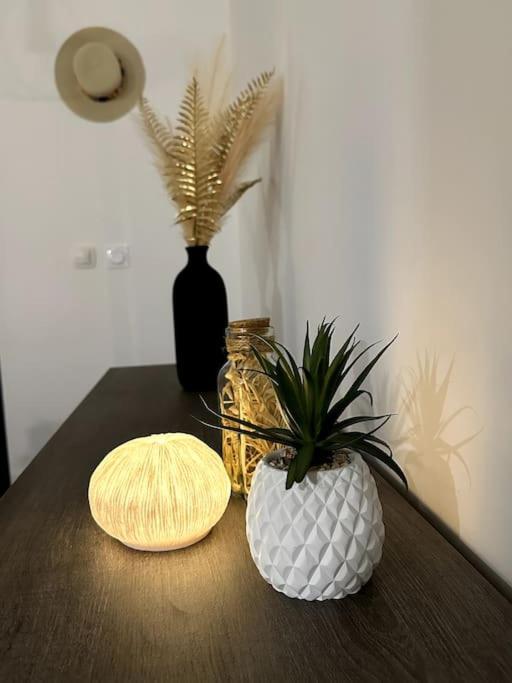 5 Min Des Plages - Appt 2 Chambres A Casa Bella Lucciana  Esterno foto